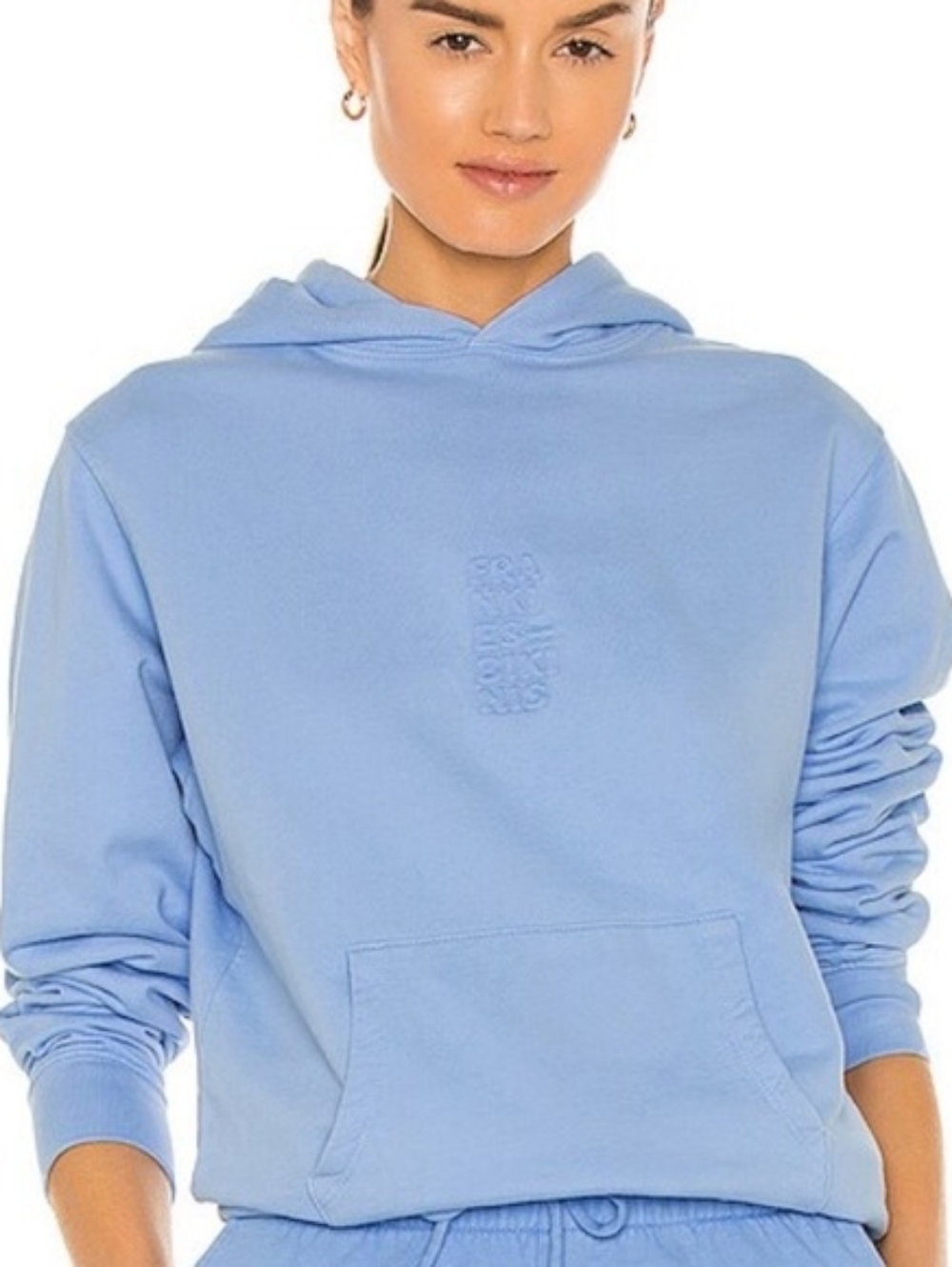 Frankies Bikinis Aiden Hoodie Embroidered Logo Pullover Hoodie Baby Blue XS